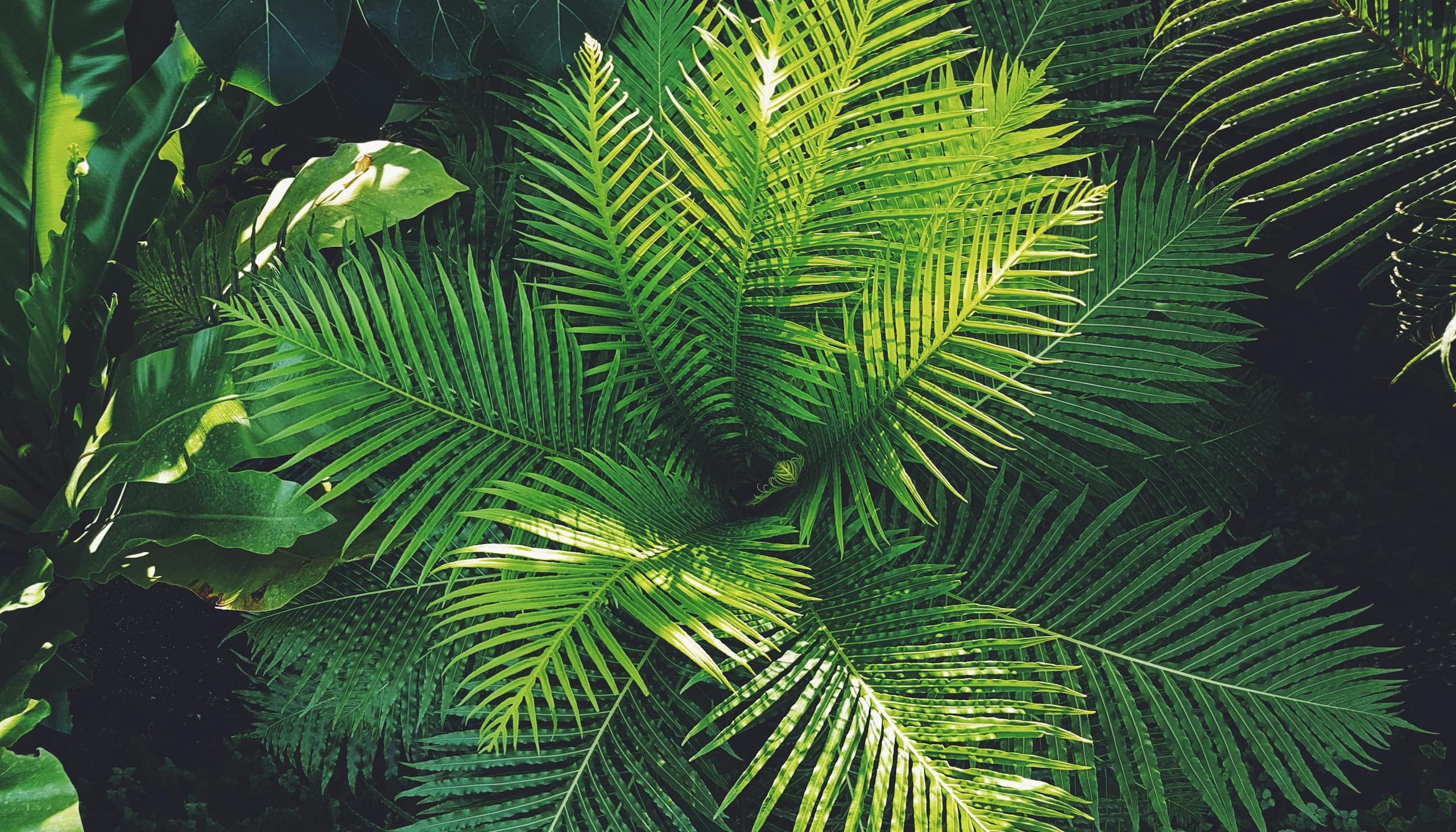 Nova Coffin Production Line — 200+ Workers, High-Volume B2B Manufacturing Excellence